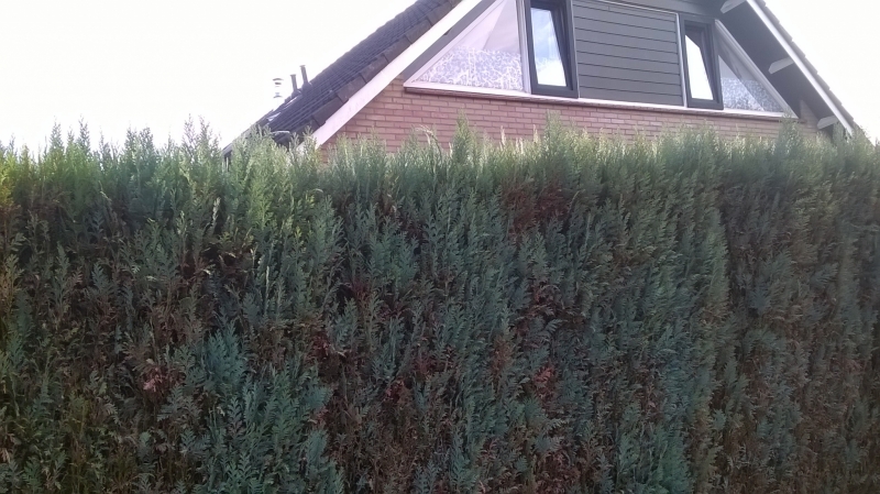 Foto_s_Marijke_619.jpg