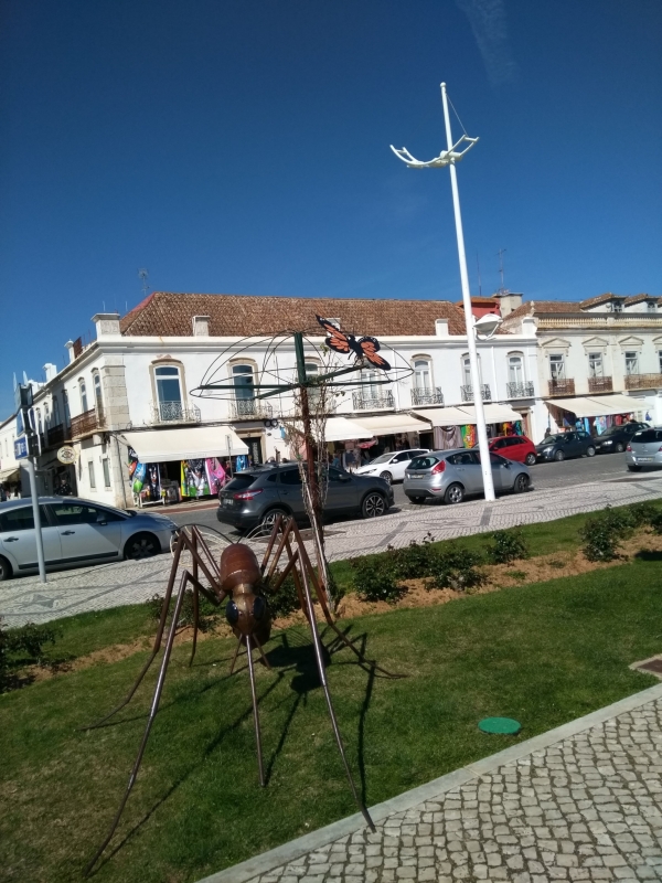 IMG_20180328_120254.jpg