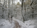 IMG_1743.JPG