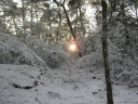 IMG_1745.JPG
