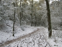IMG_1746.JPG