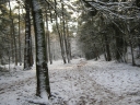 IMG_1748.JPG
