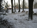 IMG_1750.JPG