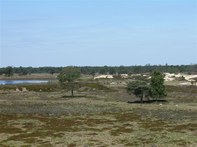 Marina 9
