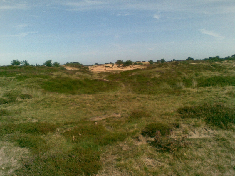 Afb072
