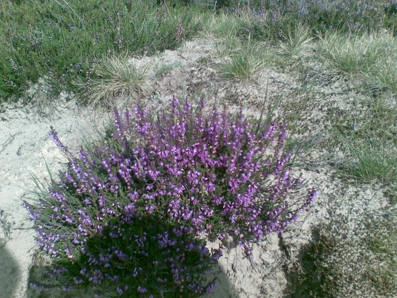 Afb086
