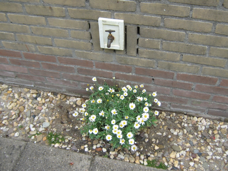 IMG 1469
