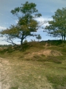 Afb084.jpg