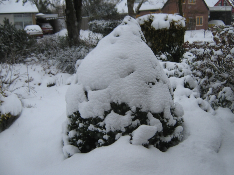 Appelscha 281229
