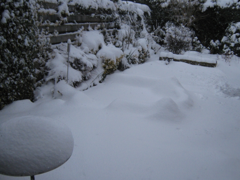 Winter in Appelscha 001
