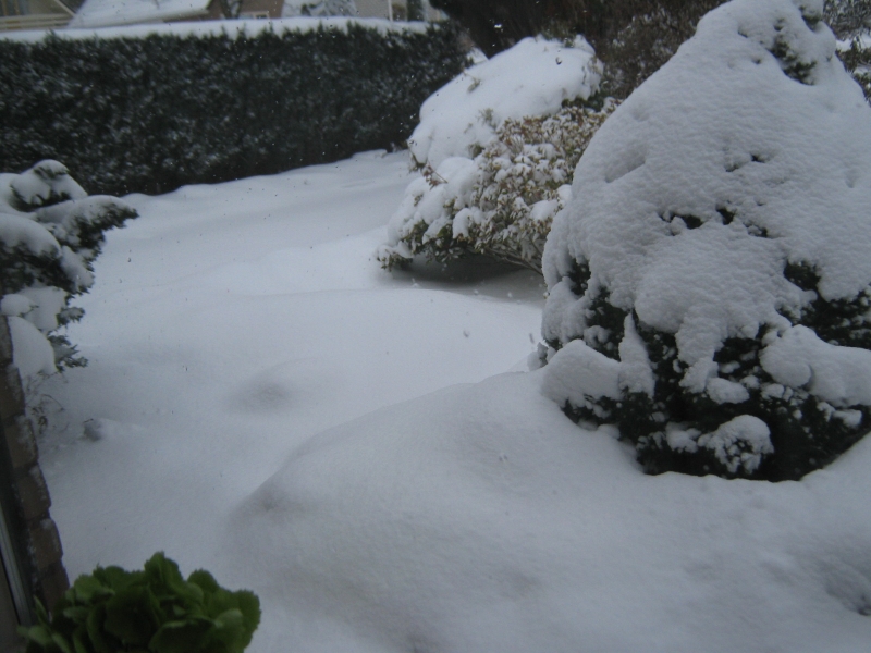 Winter in Appelscha 005
