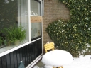 Winter_in_Appelscha_002.jpg