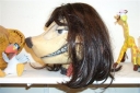TIMON_s_Hoofd_28129.jpg