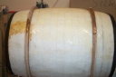 TON_281029.jpg