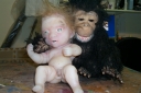 BabyTarzan_003.jpg