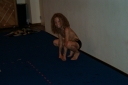 Week_29_281229.jpg