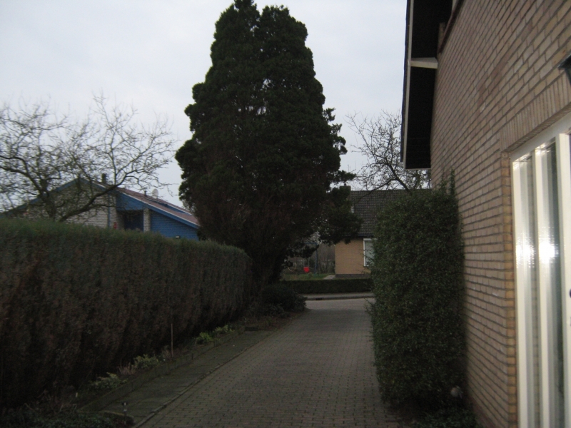 IMG 1992~0
