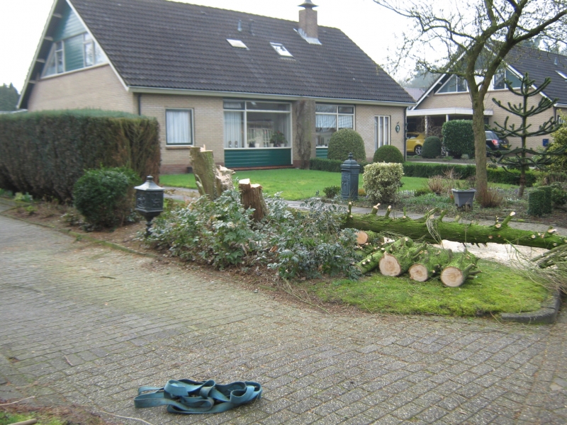IMG 2013
