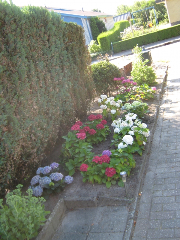 IMG 2083
